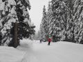 lyzovacka v dolomitoch