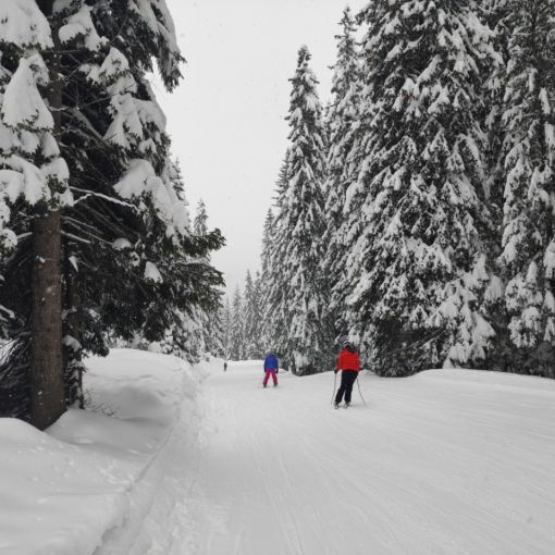 lyzovacka v dolomitoch